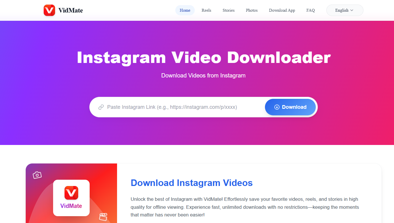 Instagram Story Video Downloader